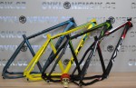 Kolo MRX Elite X7 29  XT 8100 1x12 RST air