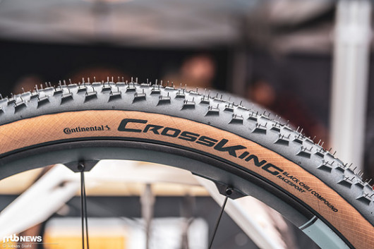 continental race king racesport 29