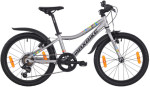 Kolo Maxbike Junior 20" ŠEDÁ