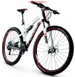Kolo Focus Super Bud 29R 1.0 2013