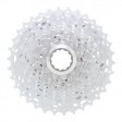 Kolo Focus Super Bud 29R 3.0 2013