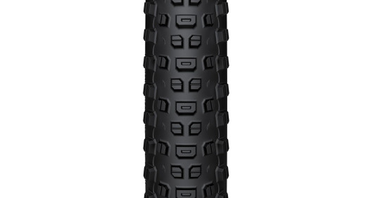 WTB PLÁŠŤ RANGER 2.25 29'' TCS LIGHT FAST ROLLING SG2 ČERNÁ
