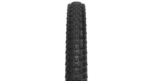 WTB PLÁŠŤ TRAIL BOSS 2.4 29'' TCS TOUGH FAST ROLLING E25 ČERNÁ