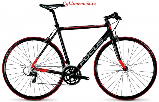 Kolo Focus Arriba RR 2.0 2013