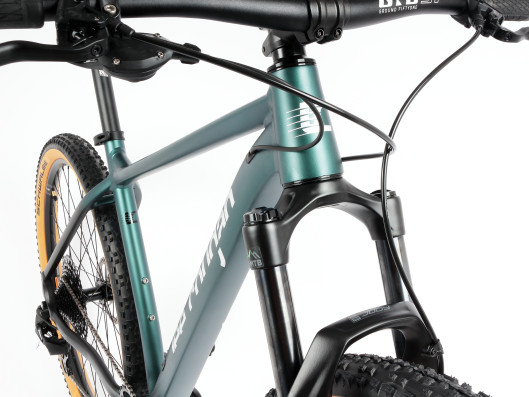 Kolo Lee Cougan Revenge Sram SX Eagle 12, zeleno-černá matná