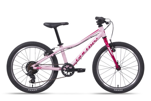 Kolo GALAXY CETIS 20" RŮŽOVÁ