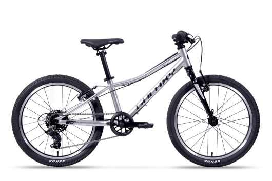 Kolo GALAXY CETIS LITE 20" STŘÍBRNÁ