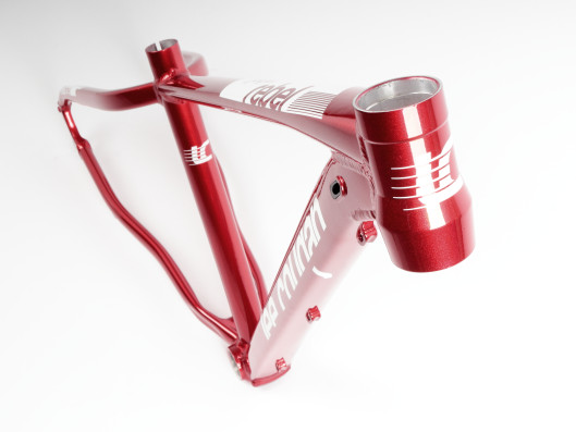 Rám MTB 29" Lee Cougan Rebel , velikost M -19"