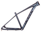 Rám 29 MRX TB25 chameleon lesk