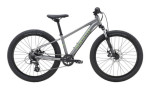 Kolo MARIN Bayview Trail 24", šedá/zelená