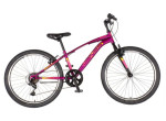 VENSSINI ARCADIA 24" FIALOVÁ