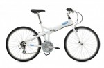 Kolo Tern Joe C21