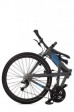 Kolo Tern Joe D24