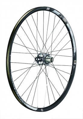 Kola American Classic Race 29 Tubeless Disc