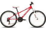 Kolo Superior XC 24 Racer 2015