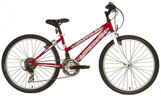 Kolo Leader Fox Buffalo dívčí 24 2015