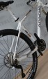 Kolo Apache Tanta Tate lady XT Epicon