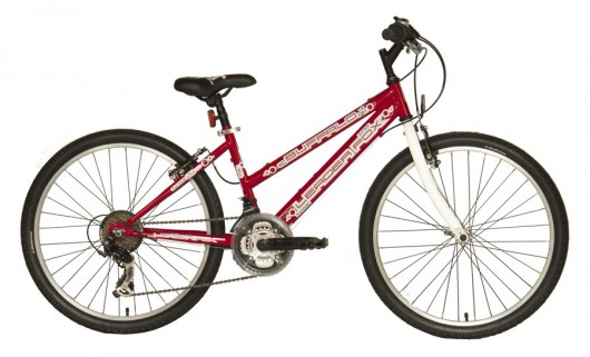 Kolo Leader Fox Buffalo 24 dívčí