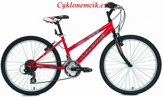 KOLO LEADER FOX BUFFALO GIRL 24" 2011