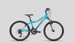 Kolo CTM Berry 2.0 2016