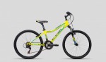 Kolo CTM Berry 2.0 2016