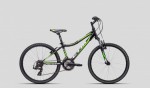 Kolo CTM Berry 2.0 2016