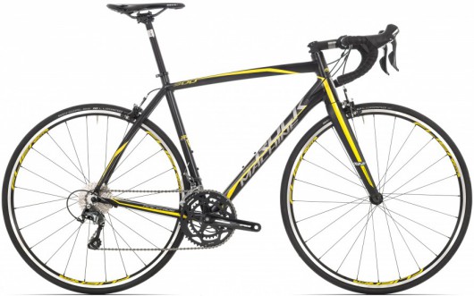 Silniční kolo RACERIDE 300 2016