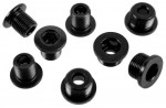 Chainring Bolt Kit 4x2 Steel/Steel Black SRAM