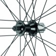 Kola Campagnolo CALIMA C17 plášťová, bez obalů