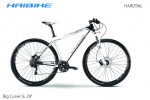 Kolo Haibike Big Curve SL 2013
