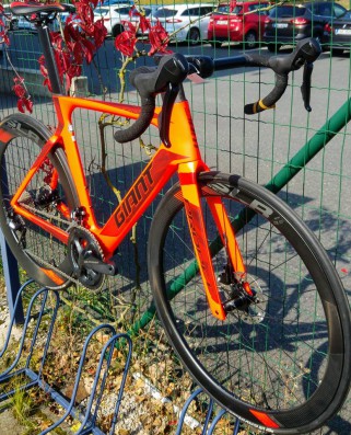 Kolo GIANT PROPEL ADVANCED DISC 2018