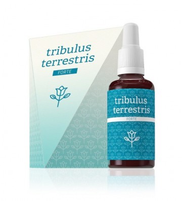 ENERGY TRIBULUS TERESTRIS FORTE