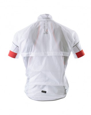 Vesta PROFI X4 | transparent