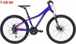 Kolo MAXBIKE APO 26 13