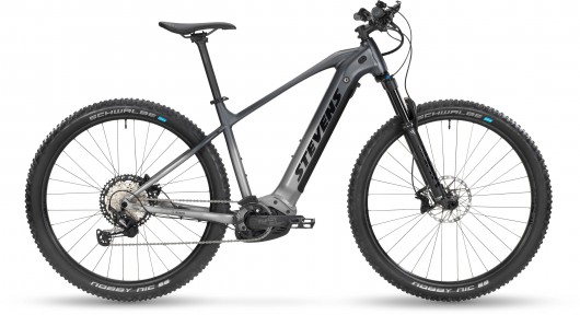 STEVENS 2020 E-AGNELLO 29" ŠEDÁ